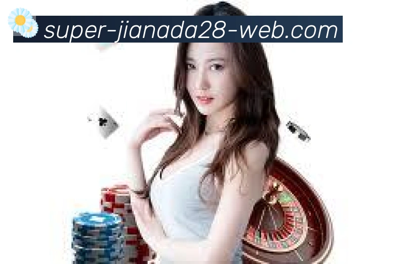 加拿大pc28服务体系